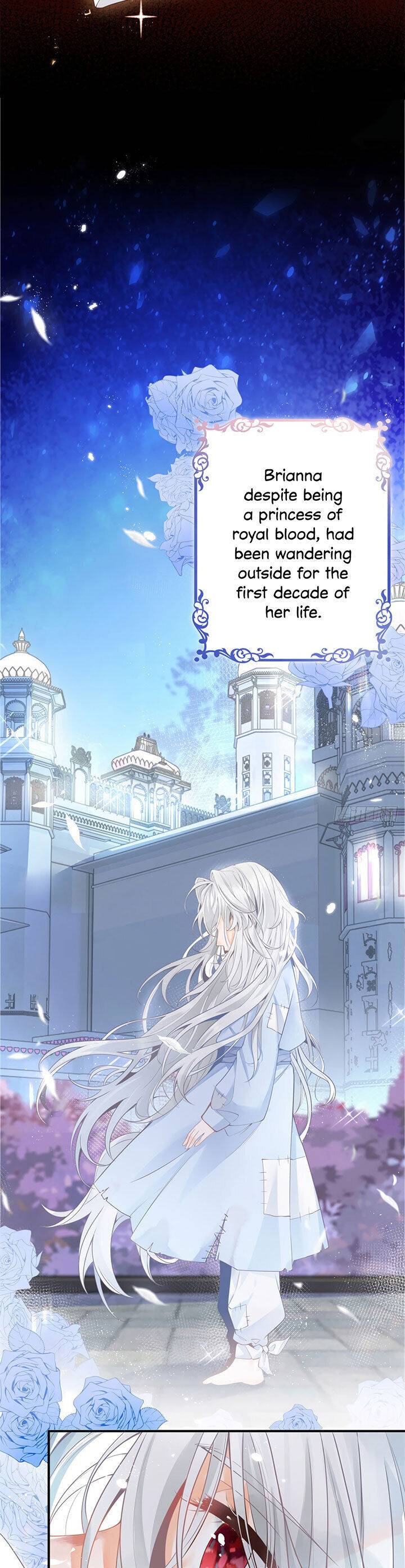 Chapter 1 - Image 4
