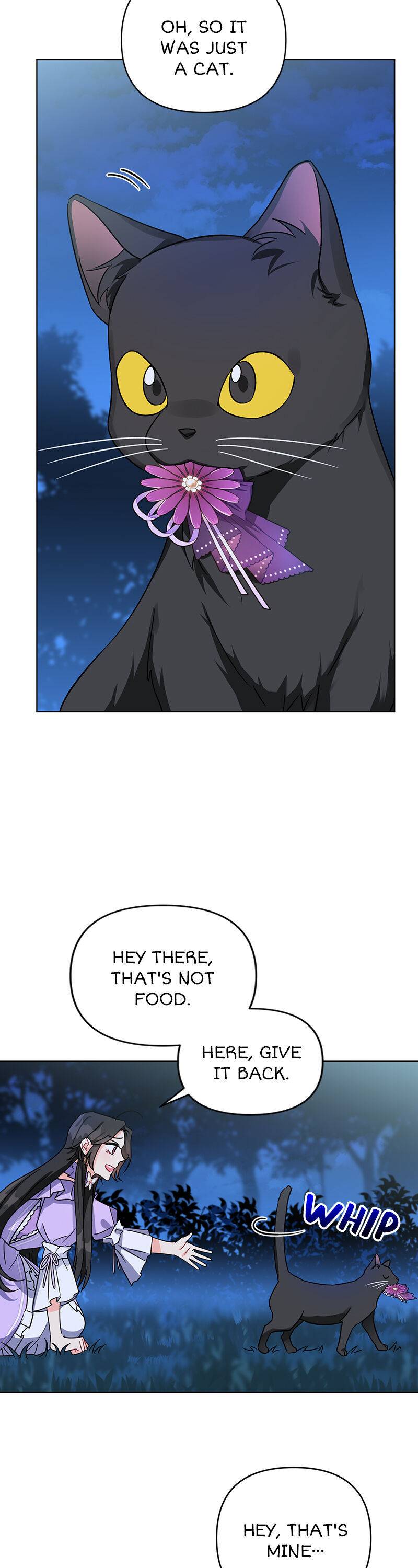 Chapter 4 - Image 4