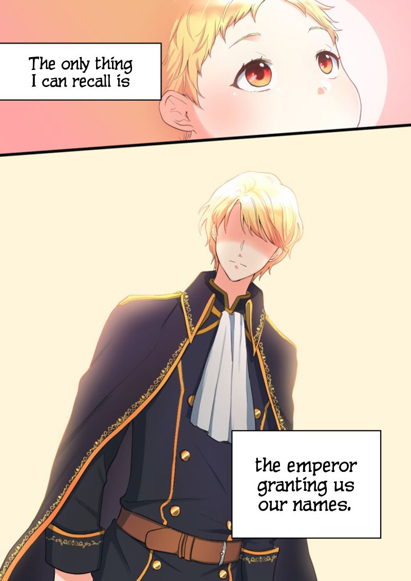 Chapter 2 - Image 6