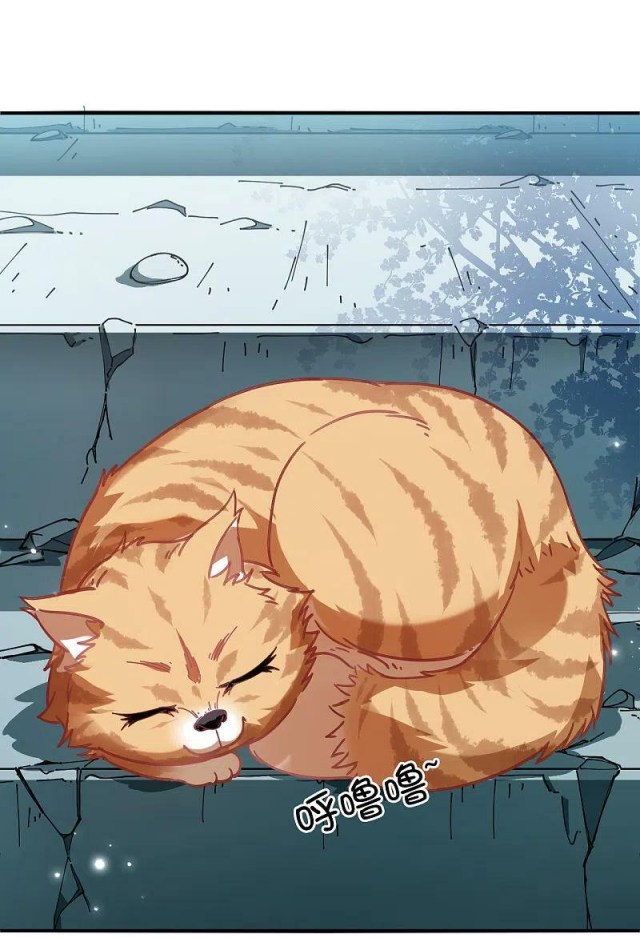 Chapter 310.5 - Image 3