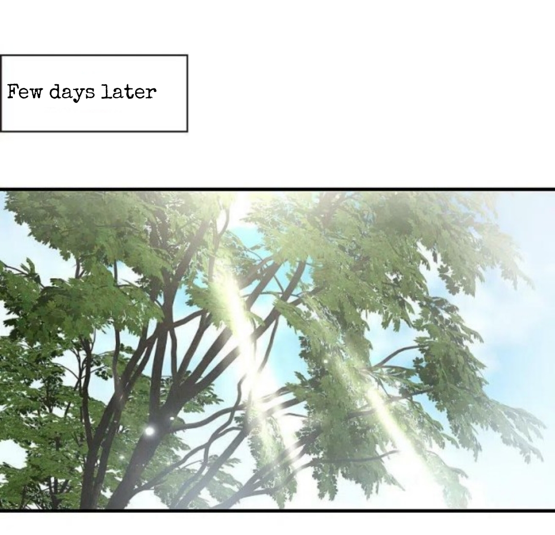 Chapter 316.5 - Image 2