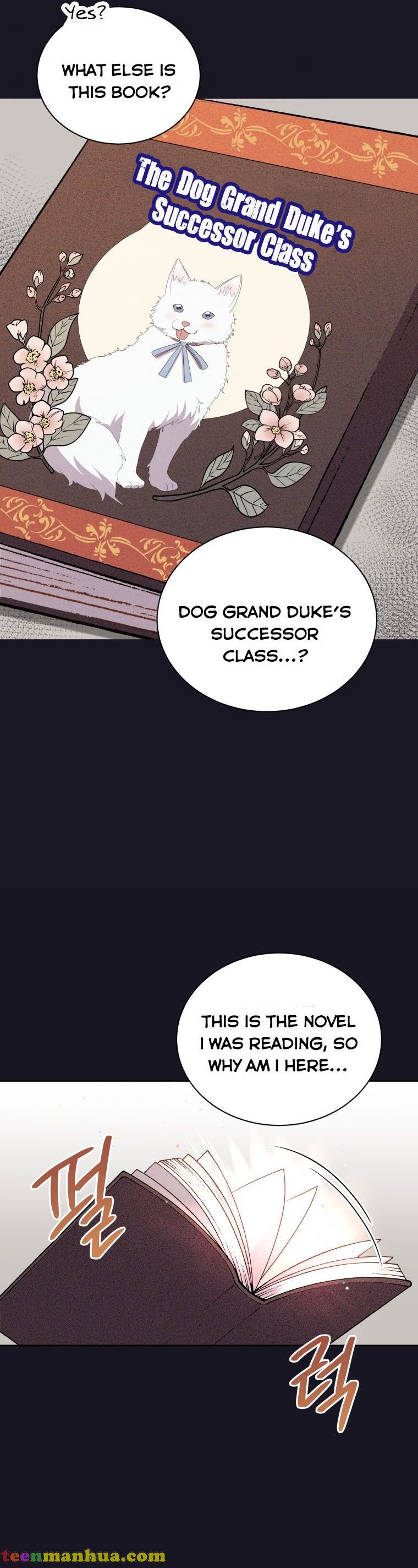 Chapter 1 - Image 15