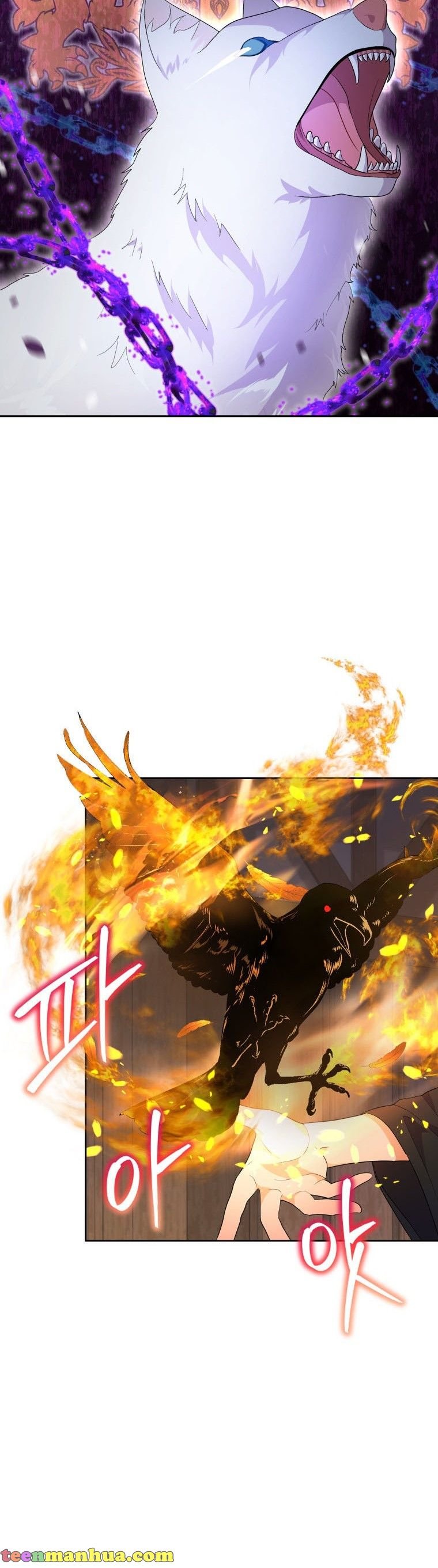 Chapter 2 - Image 33