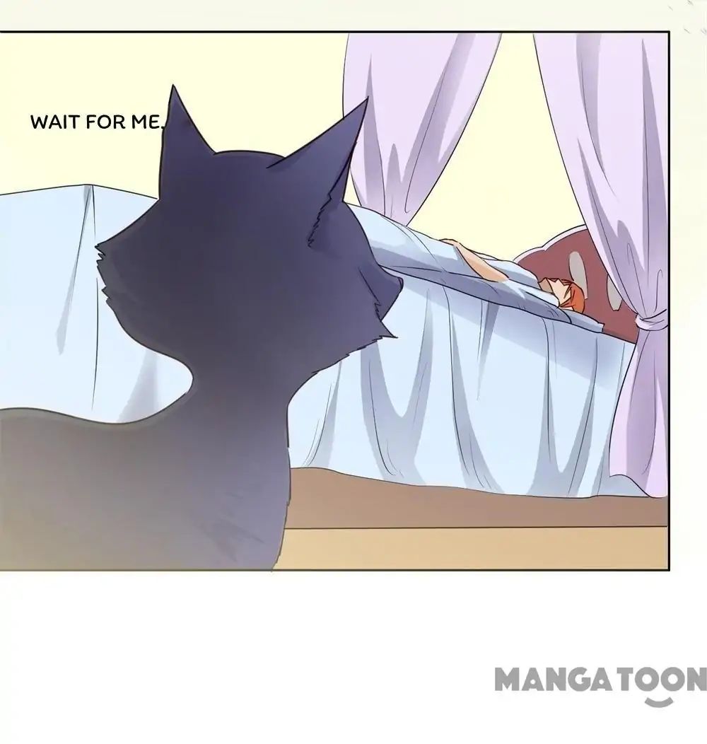 Chapter 8 - Image 7