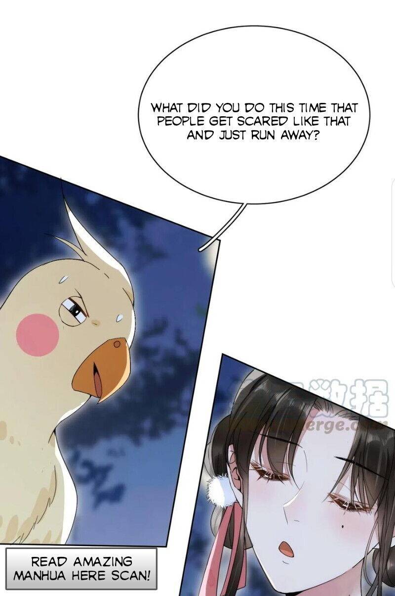 Chapter 1 - Image 11