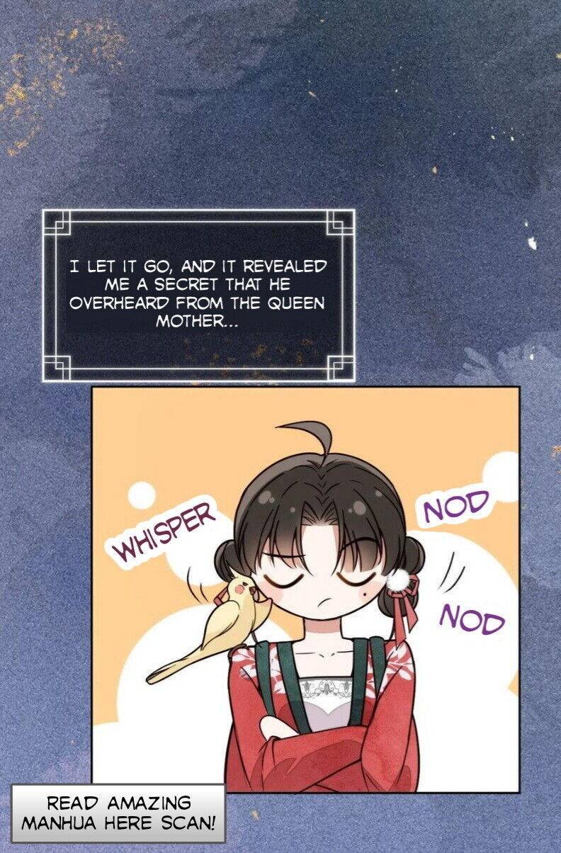 Chapter 1 - Image 33