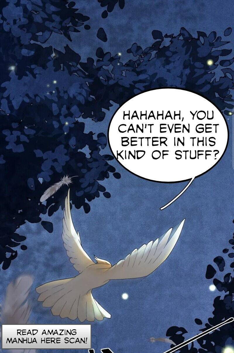 Chapter 1 - Image 7