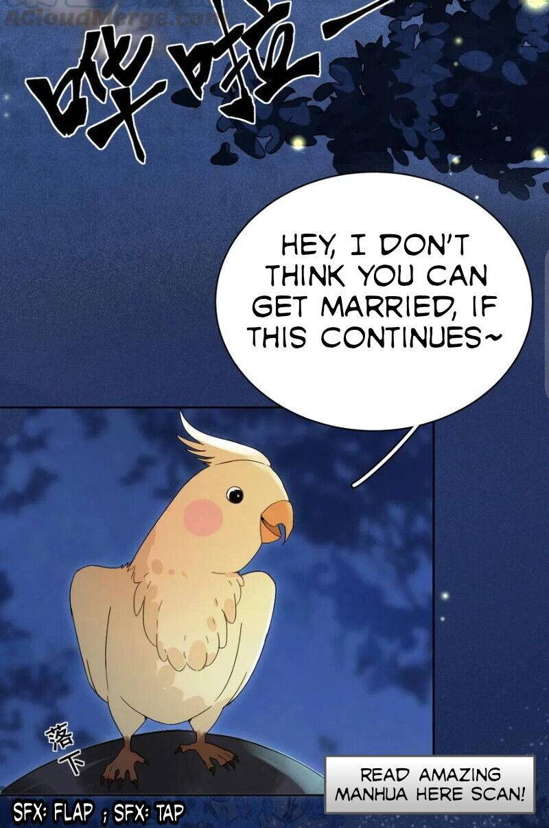 Chapter 1 - Image 8