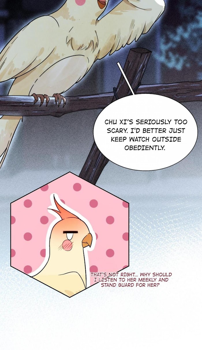 Chapter 3.1 - Image 4