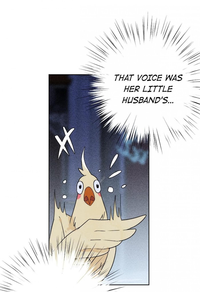 Chapter 3.1 - Image 6