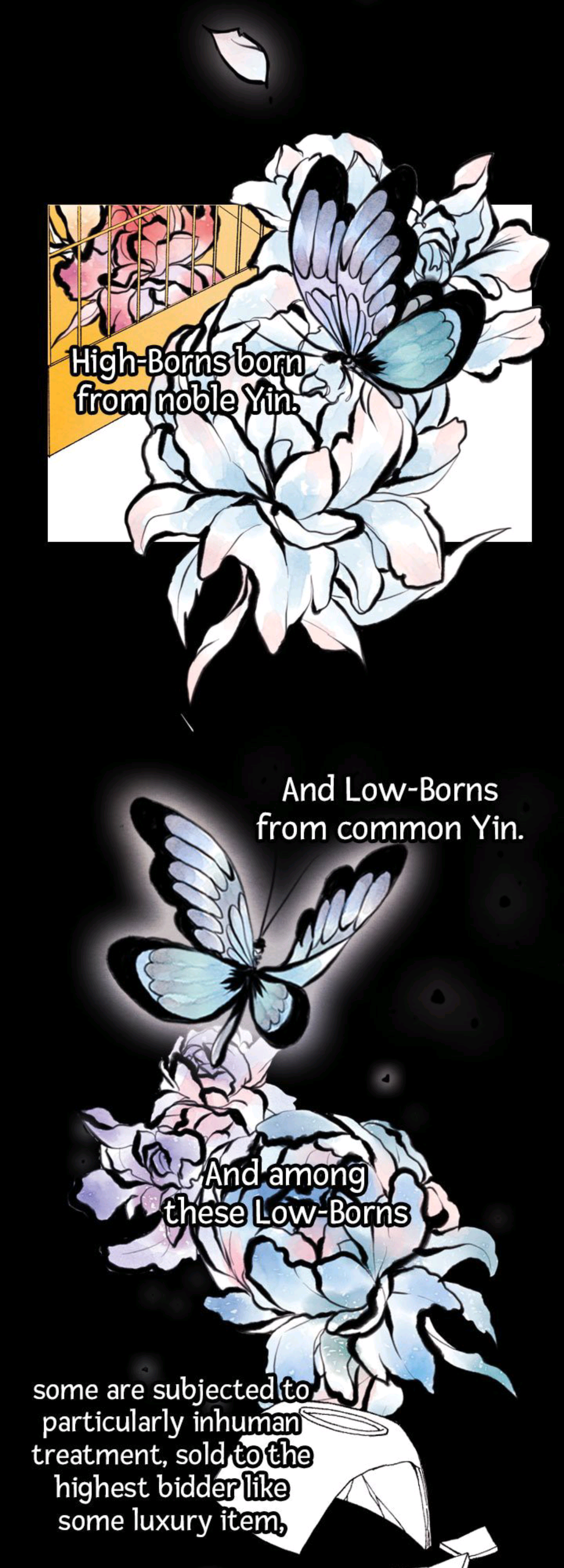 Chapter 2 - Image 6
