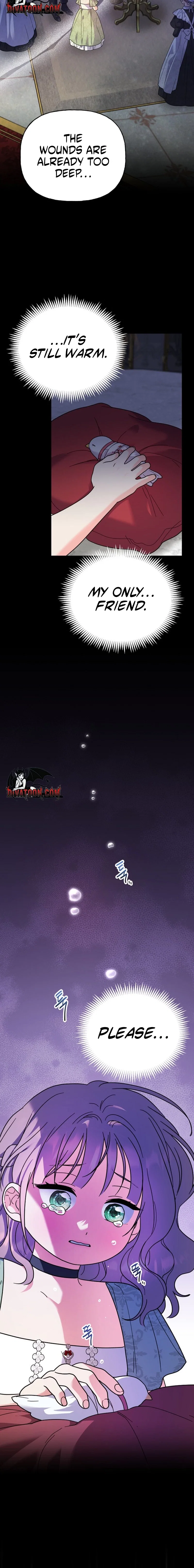 Chapter 2 - Image 4