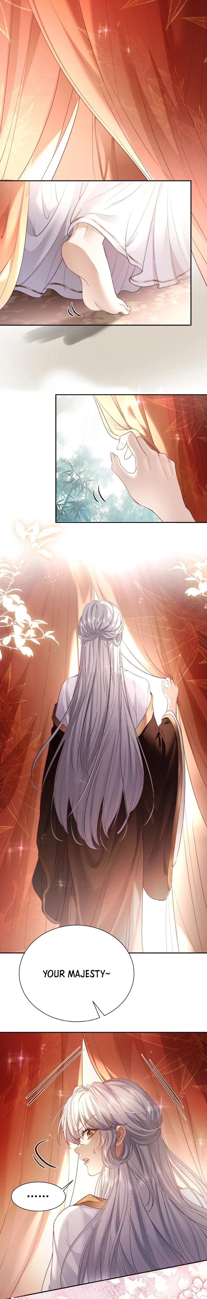 Chapter 2 - Image 5