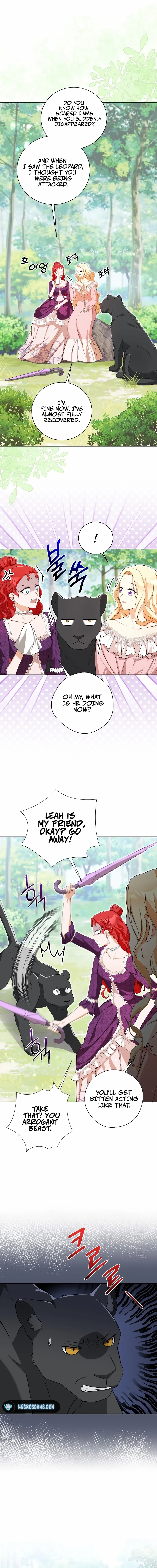 Chapter 4 - Image 2
