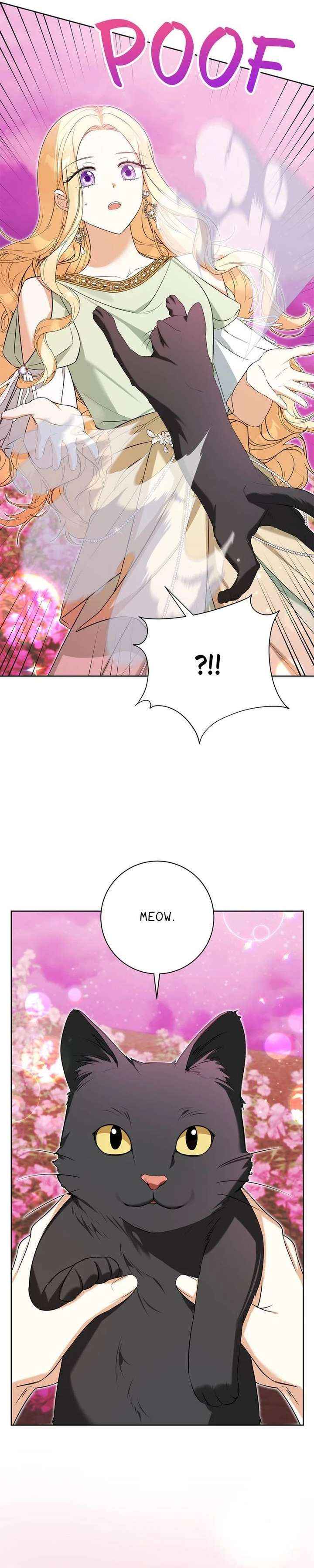 Chapter 51 - Image 21