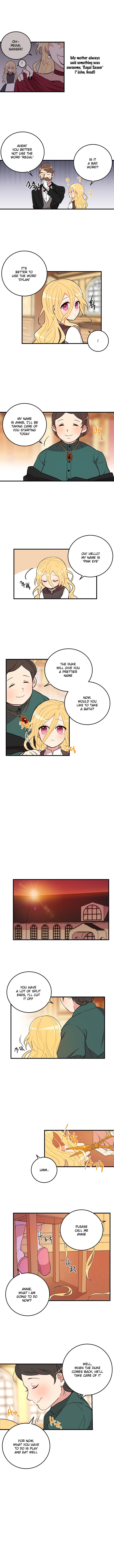 Chapter 1 - Image 5