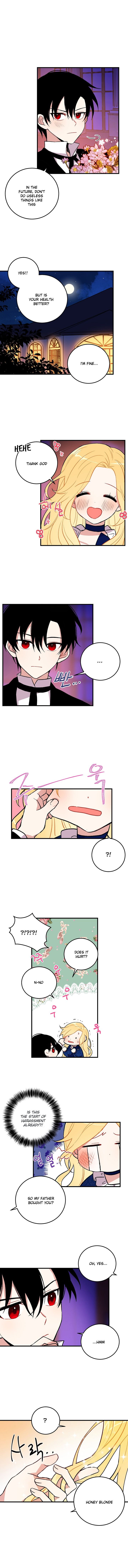 Chapter 3 - Image 4