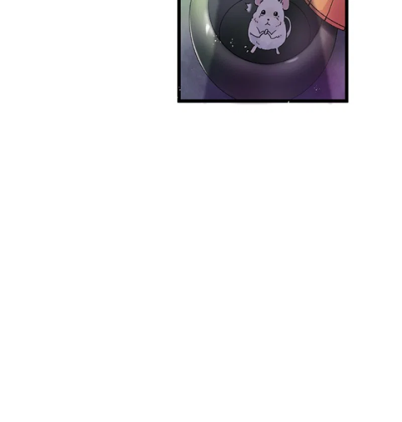 Chapter 1 - Image 3