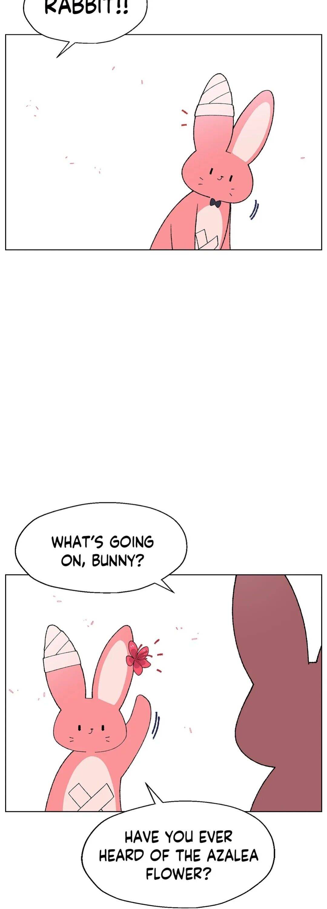 Chapter 13 - Image 2