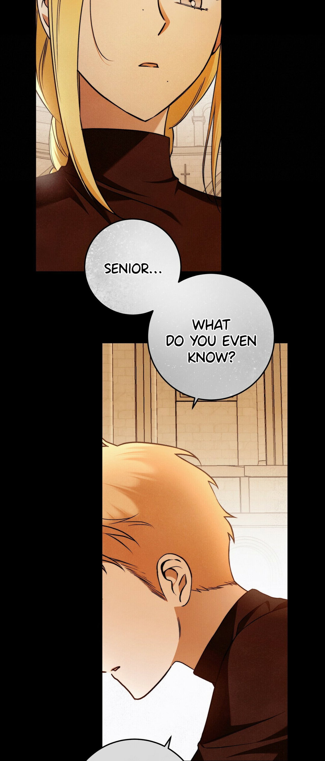 Chapter 28 - Image 15