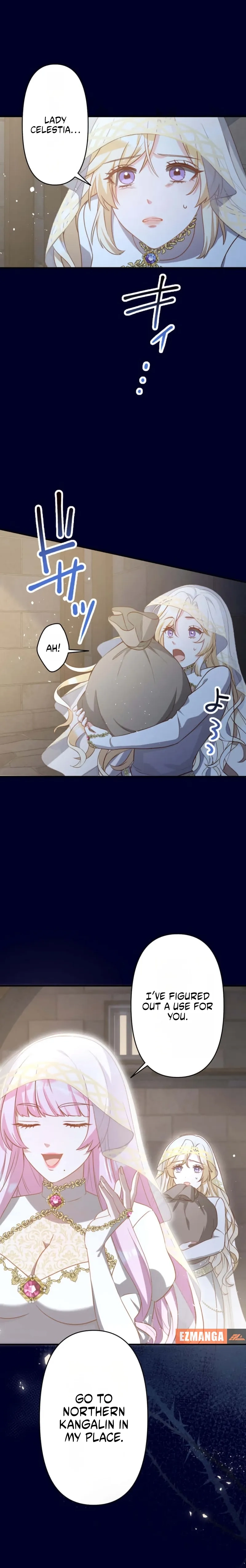 Chapter 1 - Image 10