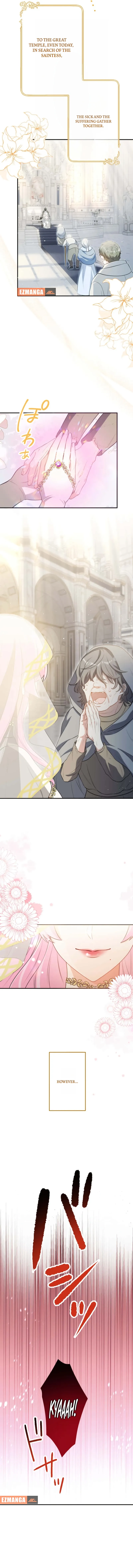 Chapter 1 - Image 2