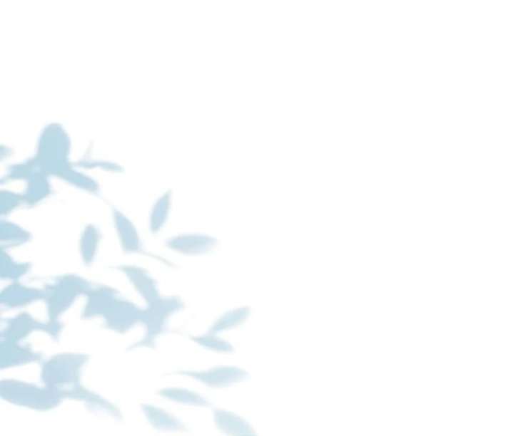 Chapter 12 - Image 39