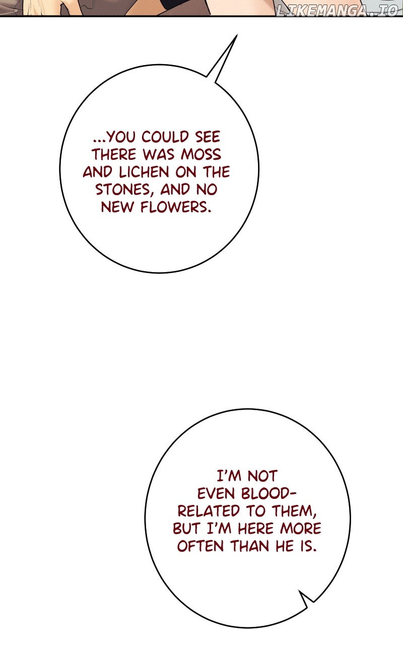 Chapter 17 - Image 10