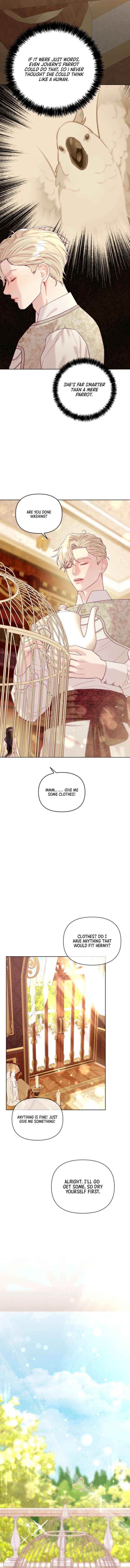 Chapter 5 - Image 11