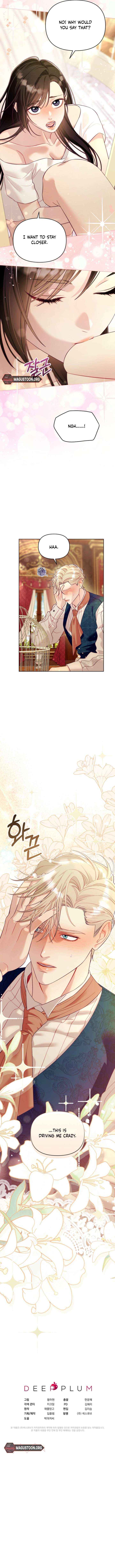 Chapter 8 - Image 11