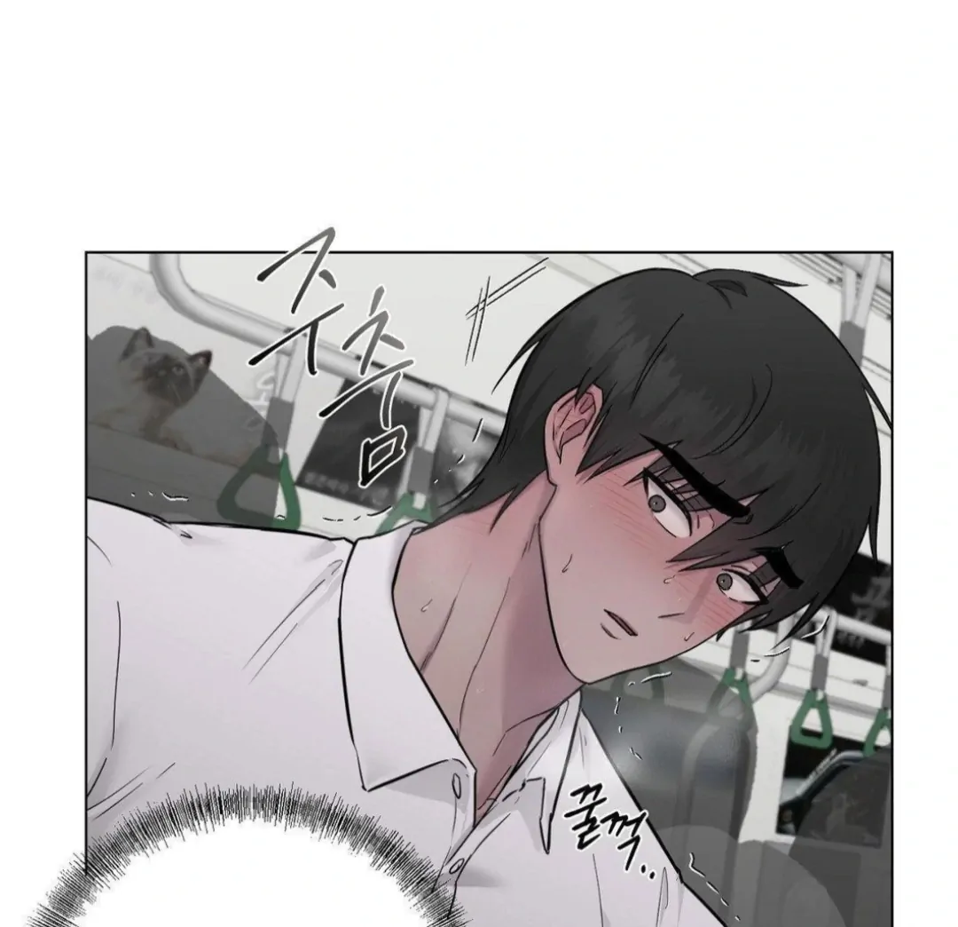 Chapter 12 - Image 8