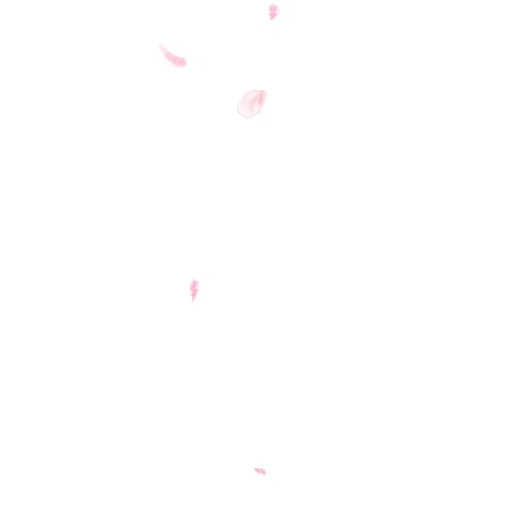 Chapter 2 - Image 67