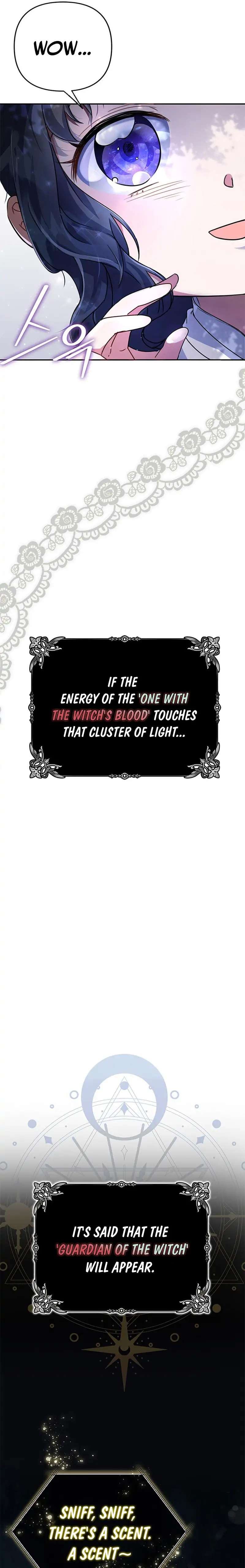 Chapter 1 - Image 5