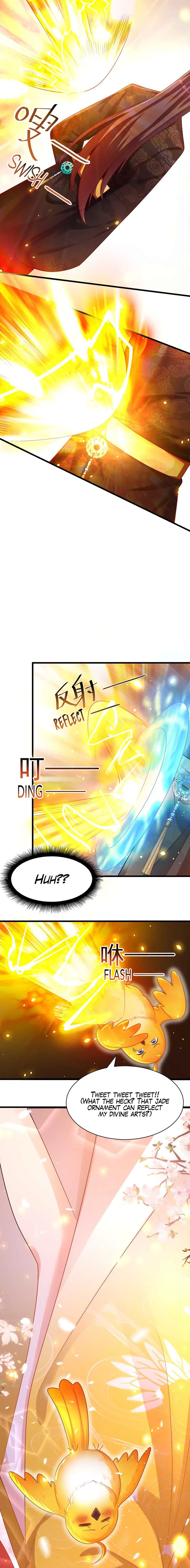 Chapter 2 - Image 5