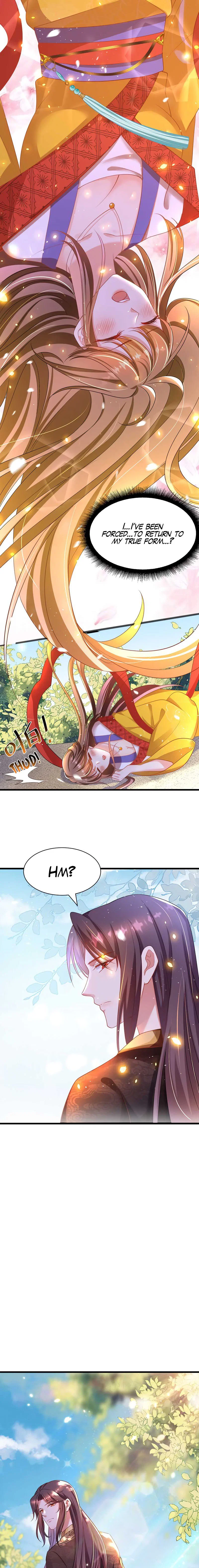 Chapter 2 - Image 6