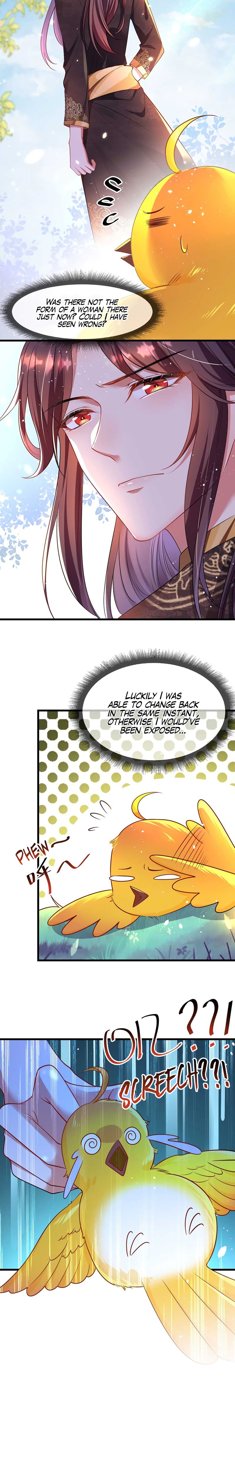 Chapter 2 - Image 7