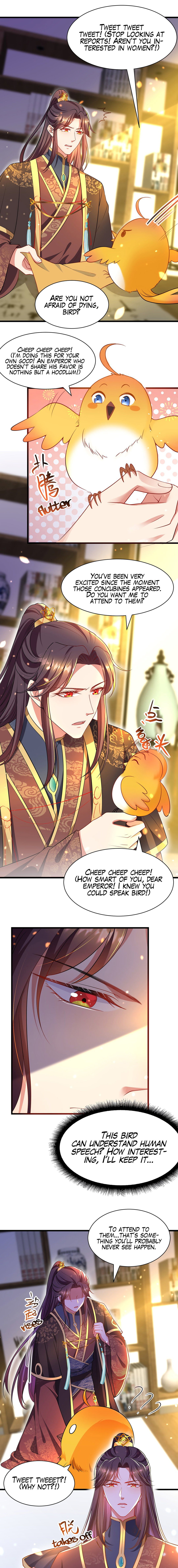 Chapter 3 - Image 4