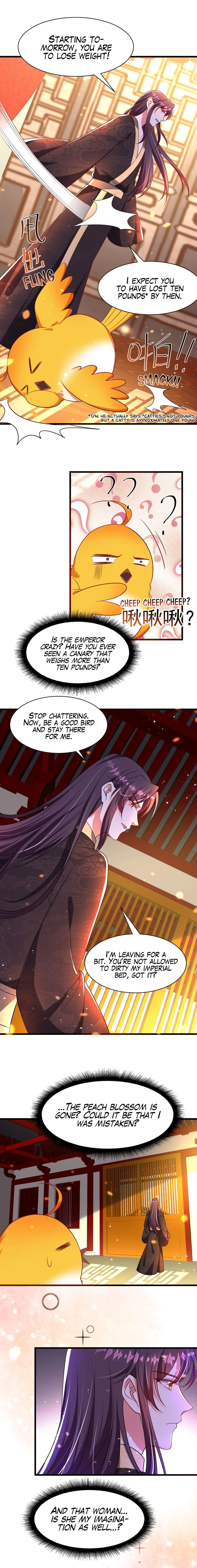 Chapter 5 - Image 3