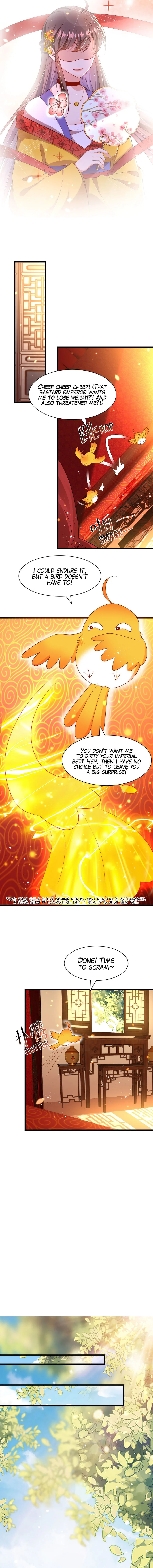 Chapter 5 - Image 4