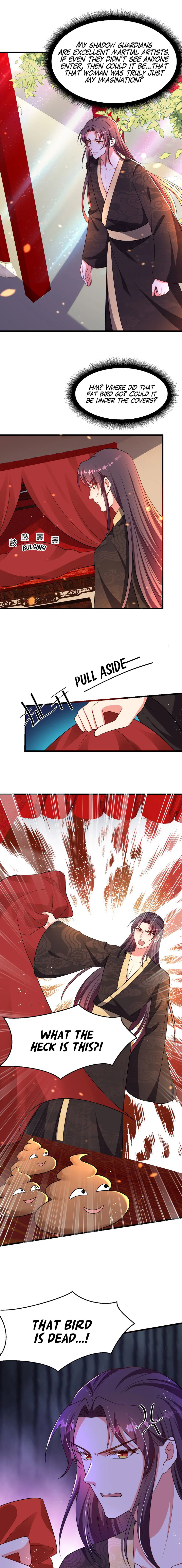 Chapter 5 - Image 6