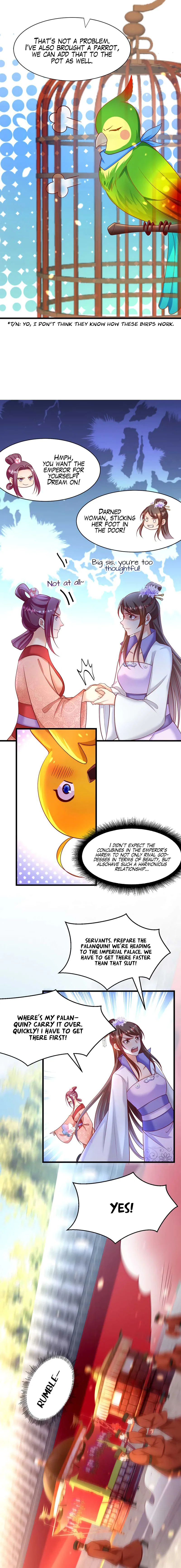Chapter 6 - Image 5
