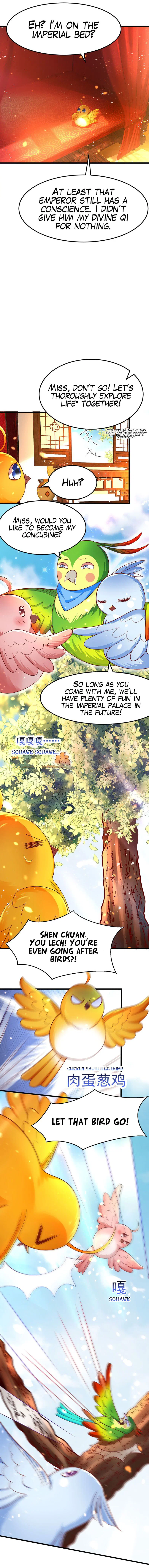 Chapter 9 - Image 4