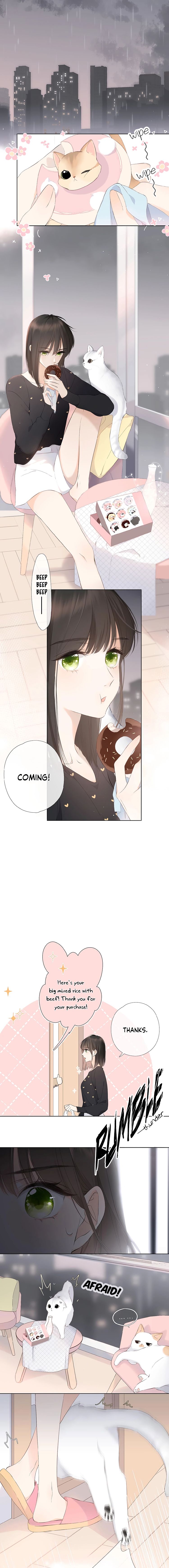 Chapter 4 - Image 2