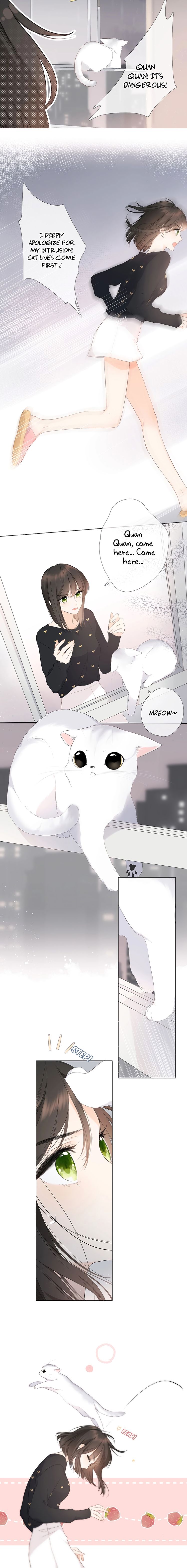 Chapter 4 - Image 4