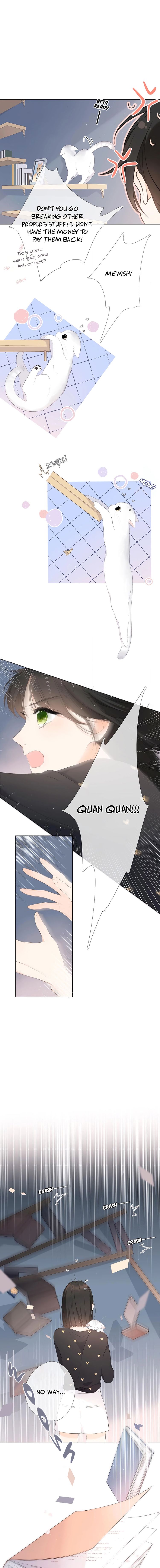 Chapter 4 - Image 5