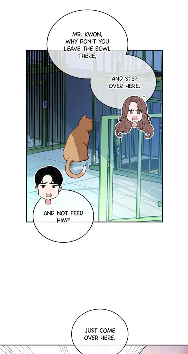 Chapter 20 - Image 14