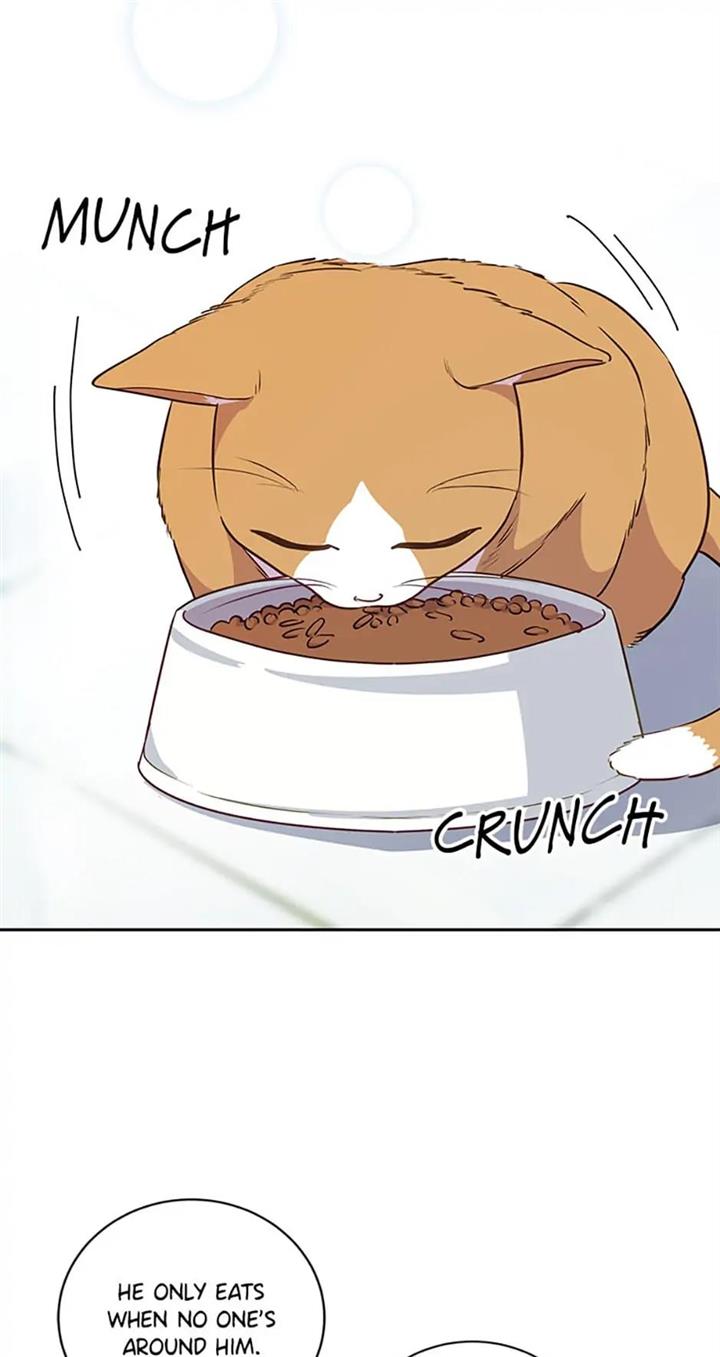 Chapter 20 - Image 18