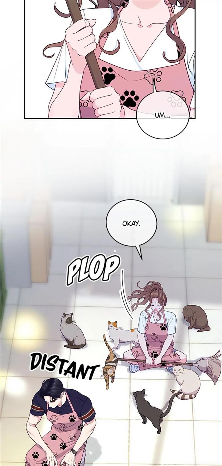 Chapter 20 - Image 4