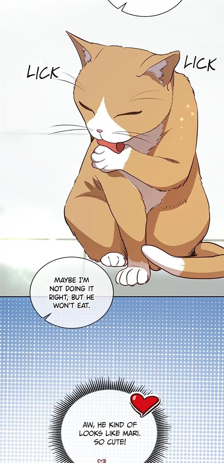 Chapter 20 - Image 9