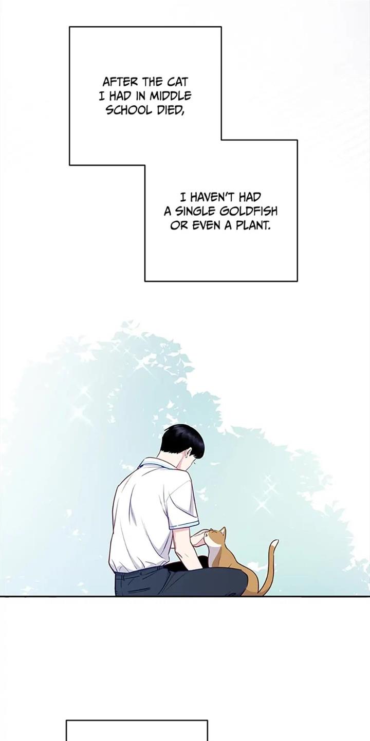 Chapter 27 - Image 62